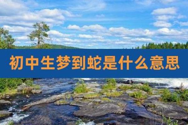 梦见到处都是蛇很害怕
