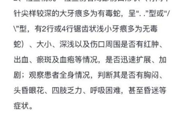 梦到蛇咬我我把它打死