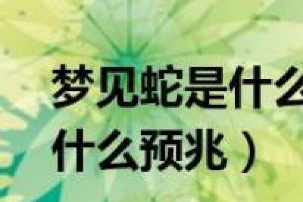 梦见两条小白蛇是什么预兆