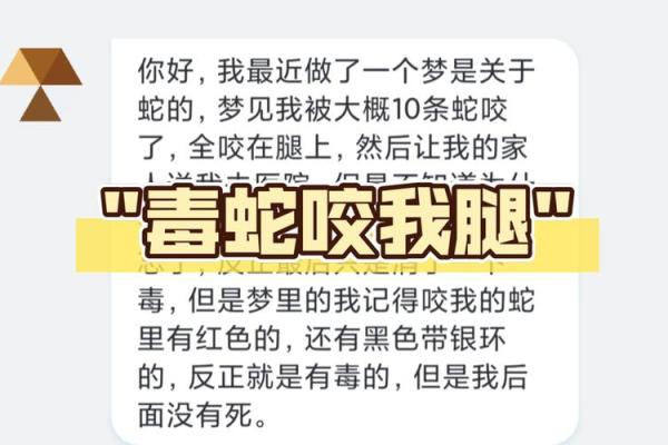 梦见吃蛇肉是什么意思预兆