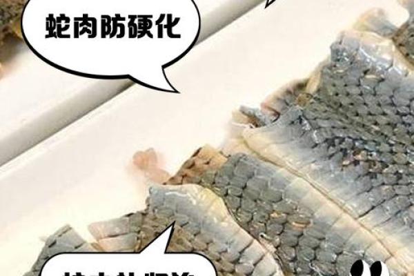 梦见吃蛇肉是什么意思预兆