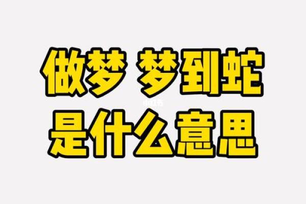 梦到很长很长的蛇预示着什么