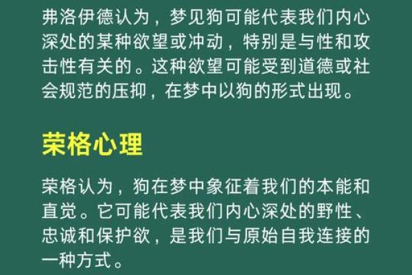 周公解梦梦见被狗追