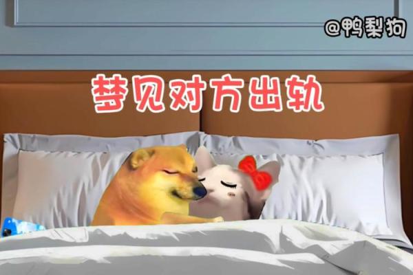 梦见对方出轨
