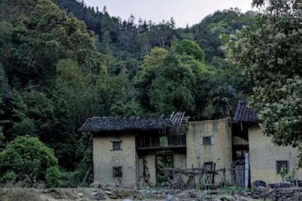 梦到老家的房子