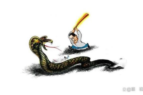 梦到自己打蛇是什么意思
