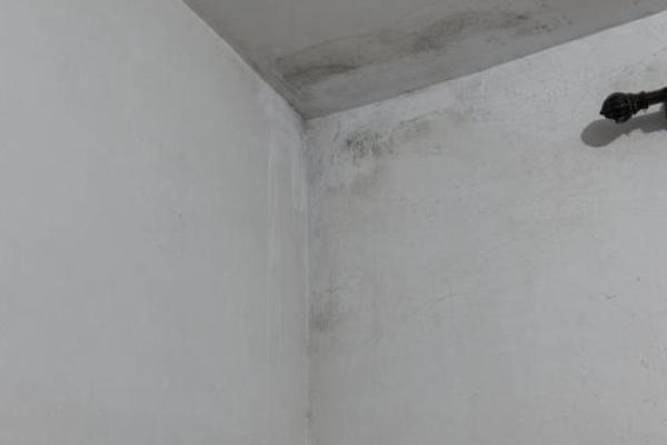 周公解梦房子漏水