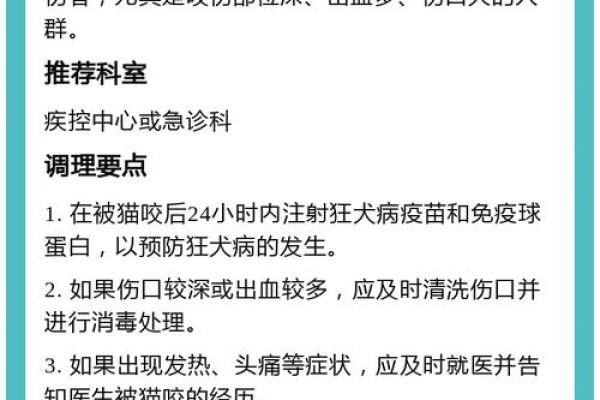 梦到被猫追着咬是什么征兆 女性