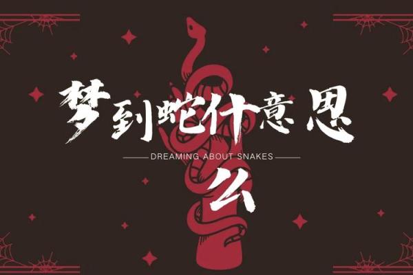 梦到很多蛇是什么寓意