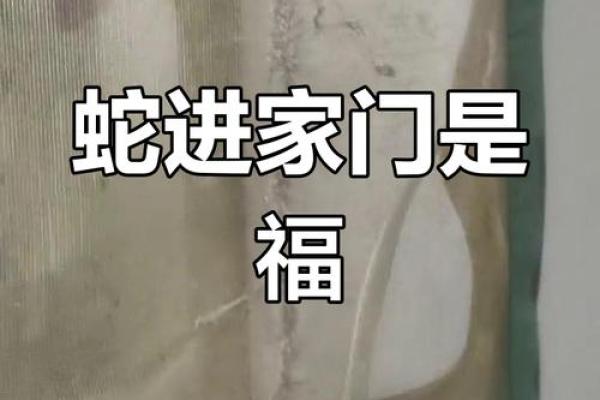 梦到蛇入宅预示着什么