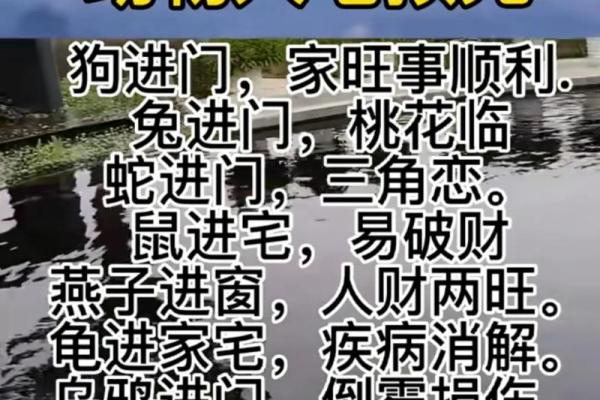 梦到蛇入宅预示着什么