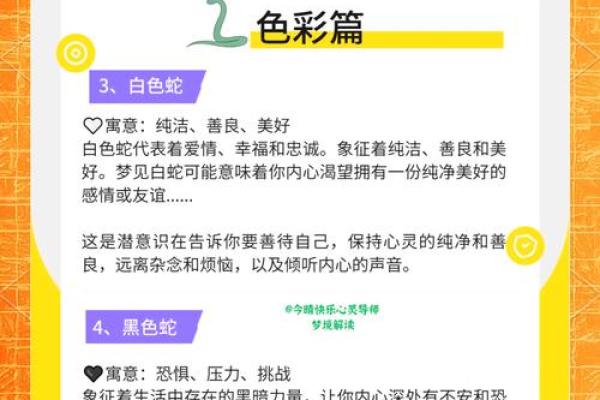 梦见很多条小蛇是什么意思
