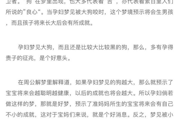梦见狗追着咬我但是没咬到什么意思