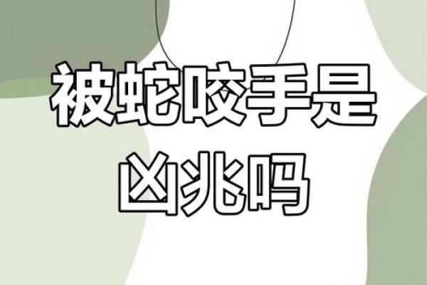 怀孕梦到蛇咬自己