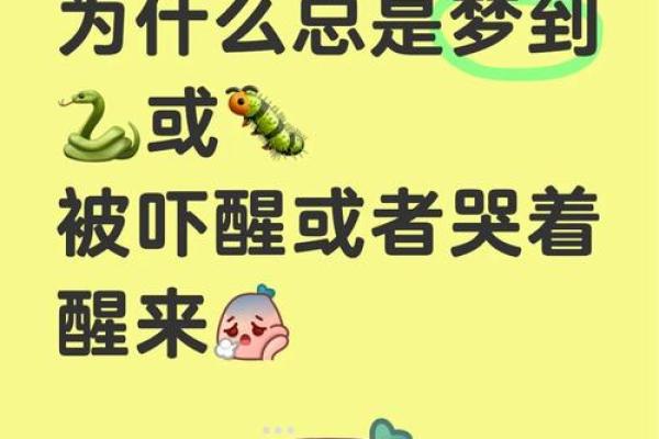 梦见小蛇是什么预兆周公解梦