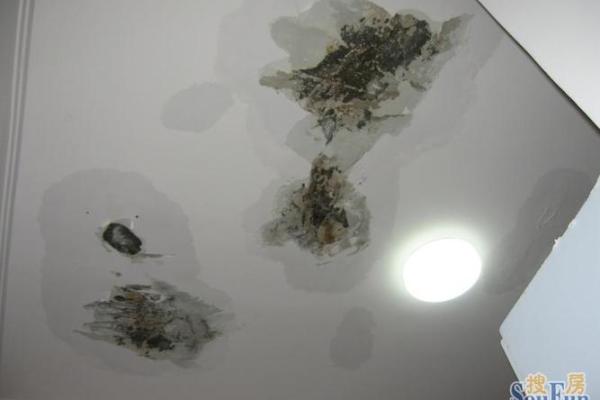 女人梦到别人房子漏雨