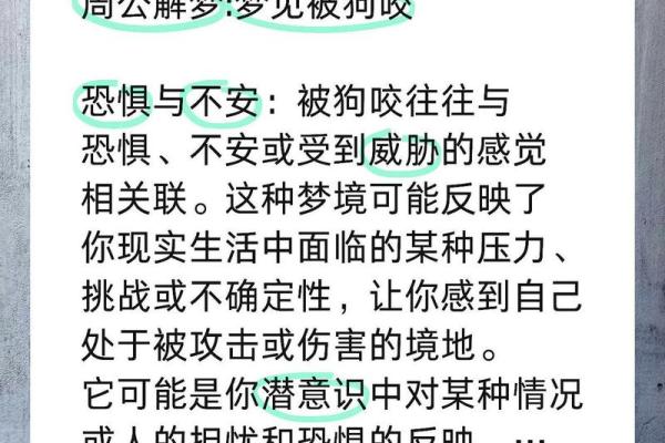 周公解梦梦见大火烧房子