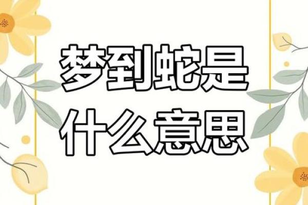 梦到蛇头是什么意思