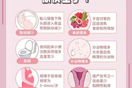 梦到自己女儿怀孕是什么预兆