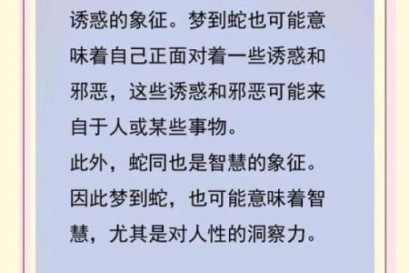 梦到好多条蛇预示着什么