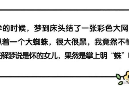 梦到老婆生了个儿子