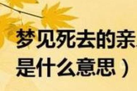 女儿梦到父亲去世