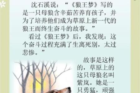梦见自己被狼追是什么意思