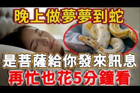 梦见好几条大蛇是什么预兆周公解梦