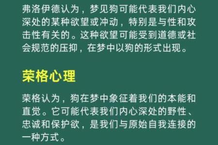 周公解梦梦见被狗追