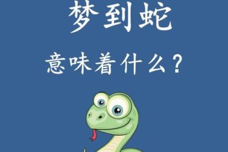 梦见成群的蛇追我有什么征兆