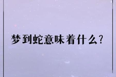 梦见被蛇追是什么征兆