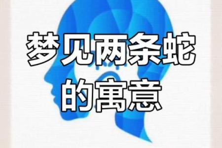 做梦梦见蛇生小蛇是什么征兆