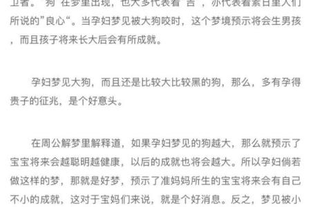 梦见狗追着咬我但是没咬到什么意思