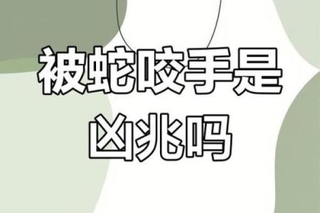 怀孕梦到蛇咬自己