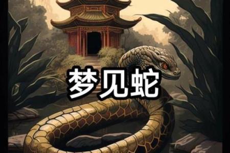 梦见小蛇是什么预兆周公解梦