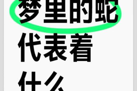 梦到好几条蛇