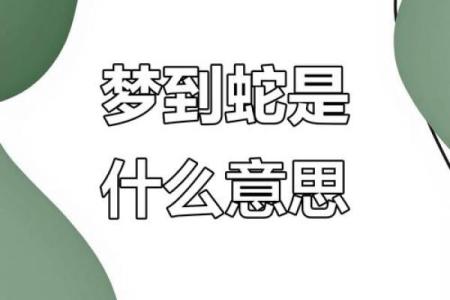 老公做梦梦到蛇
