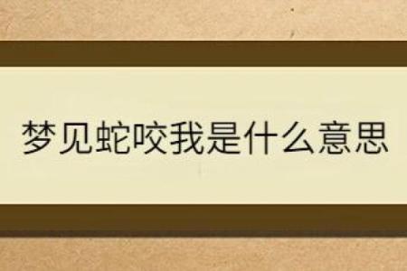 梦见被自己的蛇咬了预示着什么