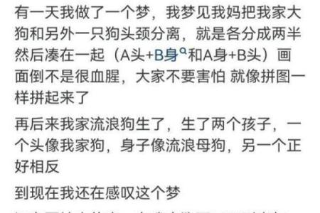 梦见自己老婆出轨