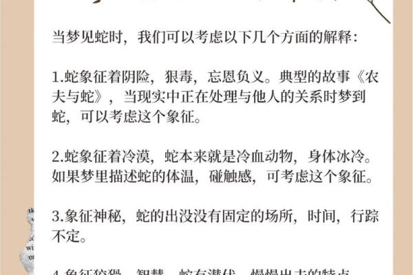 梦到蛇追自己是什么征兆 男性