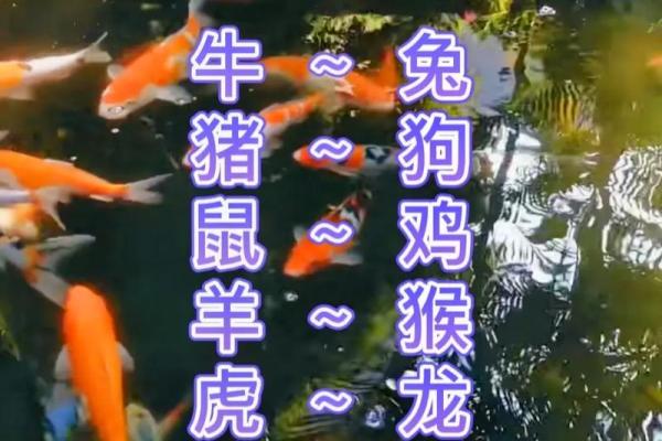 乌七八糟打一生肖