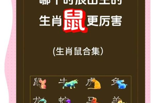 属鼠今天的财运(属鼠今天的财运和运势第一星座网)