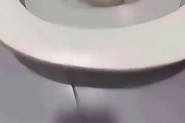梦见厕所里有蛇