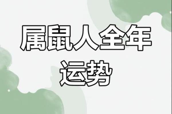 2025属鼠人的全年运势1984年出生(2025属鼠人的全年运势1984年出生男)