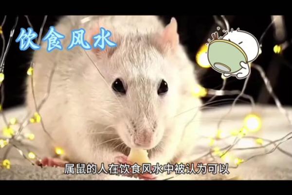 蛇年属鼠人2025年运势如何(蛇年属鼠人2025年运势如何1996 男生小孩)