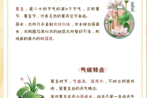夏至节气祝福语50句