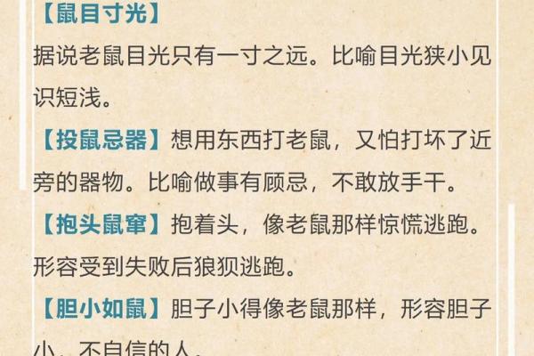鸡犬相闻打一个生肖