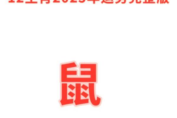 2025年1984年属鼠人的全年运势(84年鼠人2023年运势)
