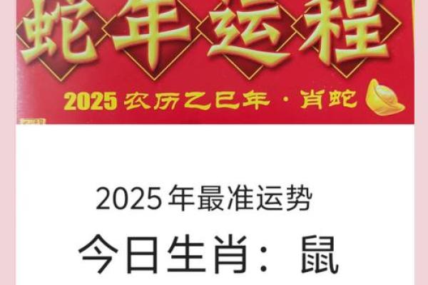 2025年1984年属鼠人的全年运势(84年鼠人2023年运势)