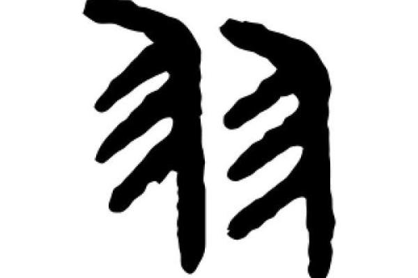 羽字五行属什么
